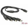 Delock Cable DC Splitter 5.5 x 2.1 mm 1 x female 4 x male