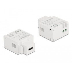 Delock Keystone Modul s nabíjecím portem USB C, 2.1 A, bílá