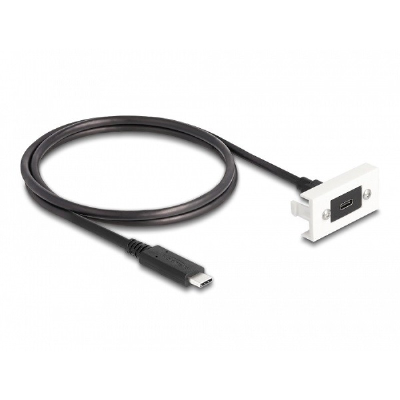 Delock Modul Easy 45 SuperSpeed USB 10 Gbps (USB 3.2 Gen 2) ze zásuvky USB Type-C na zástrčku USB Type-C s krátkým kab