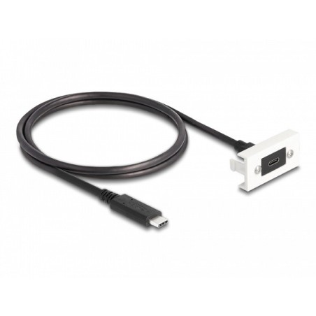Delock Modul Easy 45 SuperSpeed USB 10 Gbps (USB 3.2 Gen 2) ze zásuvky USB Type-C na zástrčku USB Type-C s krátkým kab