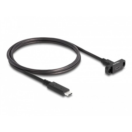 Delock Kabel SuperSpeed USB 10 Gbps (USB 3.2 Gen 2) ze zástrčky USB Type-C na zásuvku, 1 m panelová montáž, černý