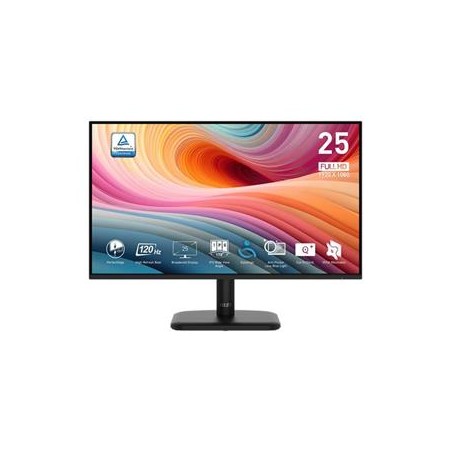 MSI PRO MP251L E2 monitor 24,5"/FHD/IPS/1ms/120Hz/HDMI/D-Sub/černá
