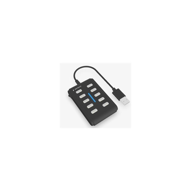GEMBIRD 10portový USB 2.0 rozbočovač, černý