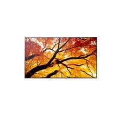 Sharp 86" MultiSync M862- 24/7, 550 cd, IPS LED, 3840x2160, 16:9, 8ms, 8000:1, DP, 2x HDMI, USB