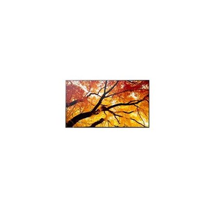 Sharp 86" MultiSync M862- 24/7, 550 cd, IPS LED, 3840x2160, 16:9, 8ms, 8000:1, DP, 2x HDMI, USB