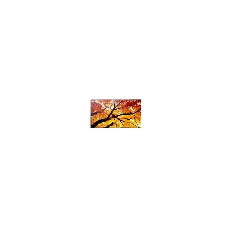 Sharp 98" MultiSync M982- 24/7, 550 cd, IPS LED, 3840x2160, 16:9, 8ms, 8000:1, DP, 2x HDMI, USB