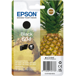EPSON Singlepack Black 604 Ink