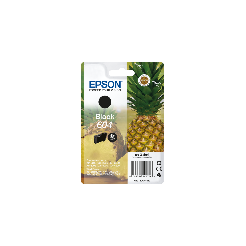 EPSON Singlepack Black 604 Ink
