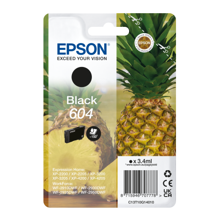 EPSON Singlepack Black 604 Ink