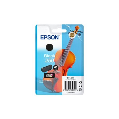 Epson Singlepack Black 250 ink