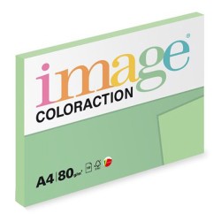 Antalis Papír Image Coloraction Jungle - pastelově světle zelená (GN27) A4 (80g/100ks)