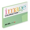 Antalis Papír Image Coloraction Jungle - pastelově světle zelená (GN27) A4 (80g/100ks)
