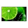SHARP/NEC LFD 32" MultiSync E328-2, IPS, 1920x1080, 400nit, 1100:1, 8ms, 16/7, VGA, HDMI, LAN, RS232, USB, Mediaplayer