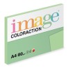 Antalis Papír Image Coloraction Forest - pastelově zelená (MG28) A4 (80g/100ks)