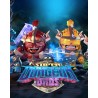 Super Dungeon Bros – hra pro PC (elektronická licence)