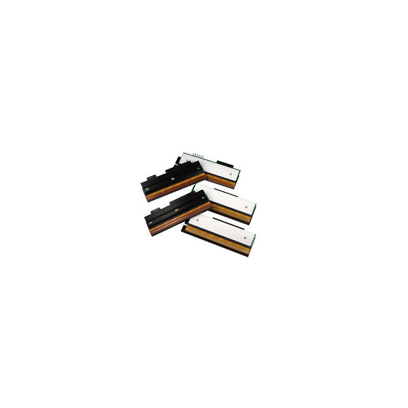 PRINTHEADS ZT200, 203dpi P1037974010