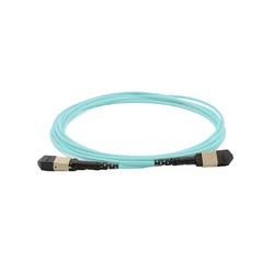 Cisco Cable MPO12-MPO12 Trunk Cable/Type B MMF 10M