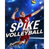 Spike Volleyball – hra pro PC (elektronická licence)