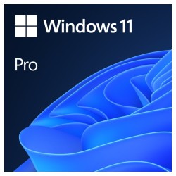 Windows 11 Pro 64Bit CZ OEM