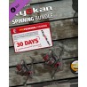 ESD Professional Fishing Sakura Ryokan Spinning