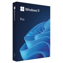 Windows Pro 11 64-bit Czech USB