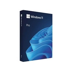 Windows Pro 11 64-bit Czech USB
