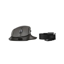 HP myš - HP Tilt Ergonomic Mouse 725M