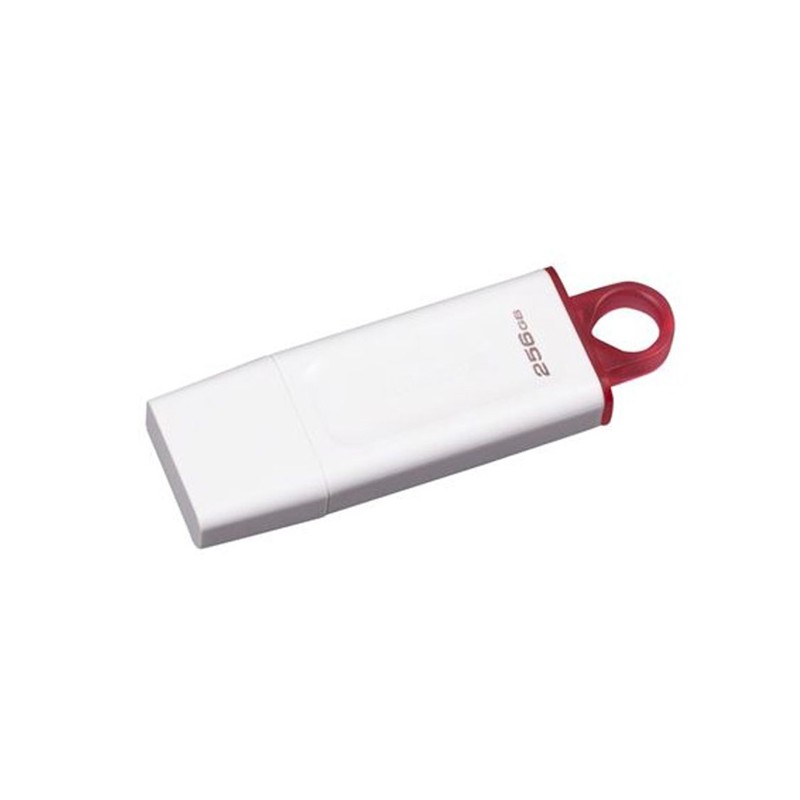 Kingston Flash Disk 256GB USB3.2 Gen1 DataTraveler Exodia (White + Pink)