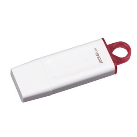 Kingston Flash Disk 256GB USB3.2 Gen1 DataTraveler Exodia (White + Pink)
