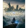ESD Hogwarts Legacy