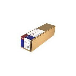 Epson 420/2.1/WaterResistant Matte Canvas Roll, matný, 17", C13S042011, 375 g/m2, papír, 420mmx2.1m, bílý, pro inkoustové