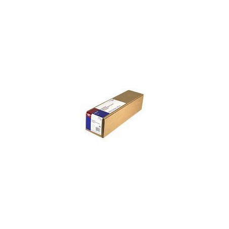Epson 420/2.1/WaterResistant Matte Canvas Roll, matný, 17", C13S042011, 375 g/m2, papír, 420mmx2.1m, bílý, pro inkoustové