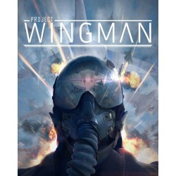 Project Wingman – hra pro PC (elektronická licence)