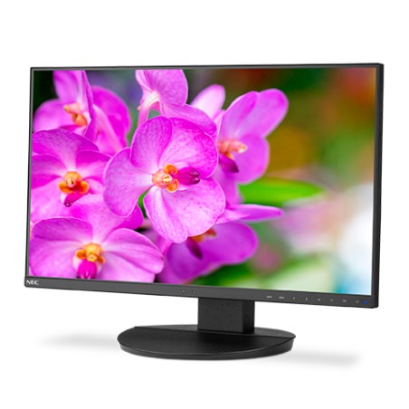 EA241F 24IN IPS BLACK/1920X1080 1000:1 250CD/QM LED