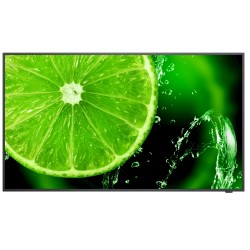 49" E Series large format display, UHD, 400cd/m2, Direct LED backlight, 16/7 proof, Media Player