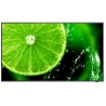 49" E Series large format display, UHD, 400cd/m2, Direct LED backlight, 16/7 proof, Media Player