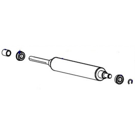 Platen Roller Kit - ZT510
