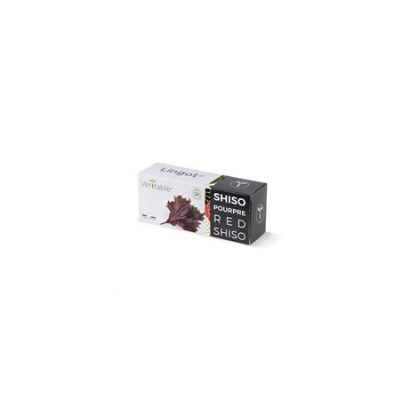 Véritable Lingot Fialový shiso - BIO