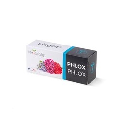 Véritable Lingot Flox