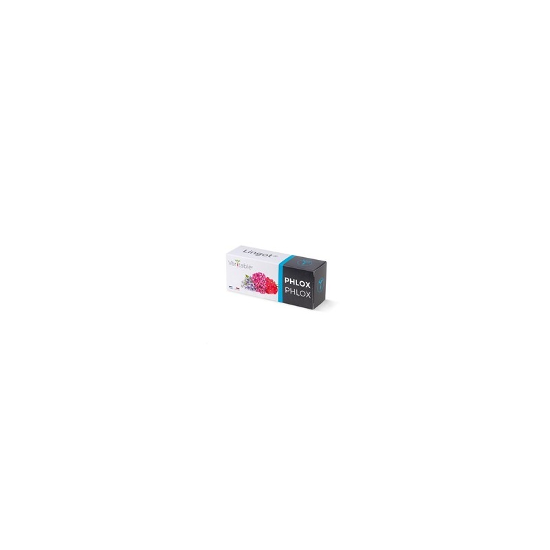 Véritable Lingot Flox