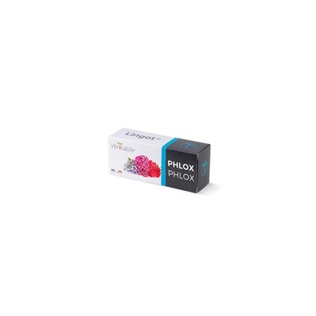Véritable Lingot Flox