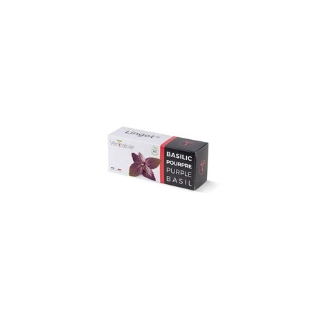 Véritable Lingot Fialová bazalka - BIO