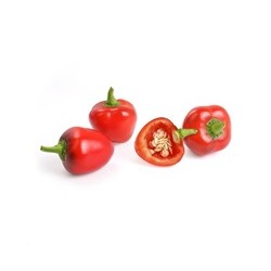 Véritable Lingot Červená mini paprika - BIO