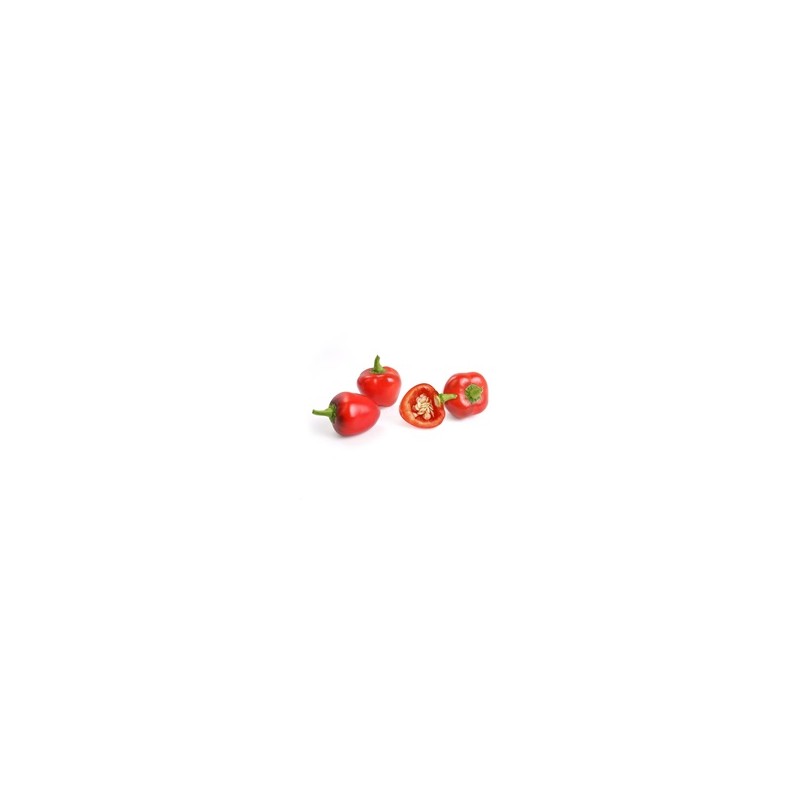 Véritable Lingot Červená mini paprika - BIO
