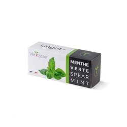 Véritable Lingot Máta klasnatá
