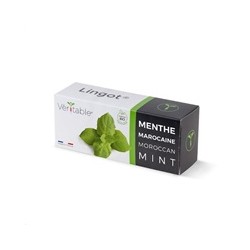 Véritable Lingot Marocká máta - BIO