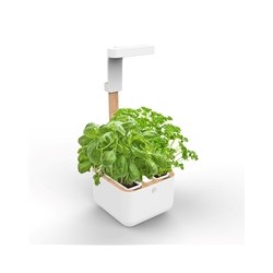 Véritable Botaneo - Automatický květináč + 2 bylinkové náplně