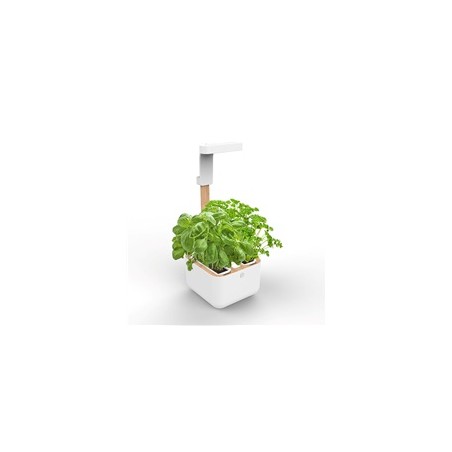 Véritable Botaneo - Automatický květináč + 2 bylinkové náplně