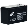 Fortron 12V/7Ah baterie pro UPS Fortron/FSP