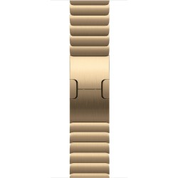 Watch Acc/42/Radiant Gold Link Bracelet